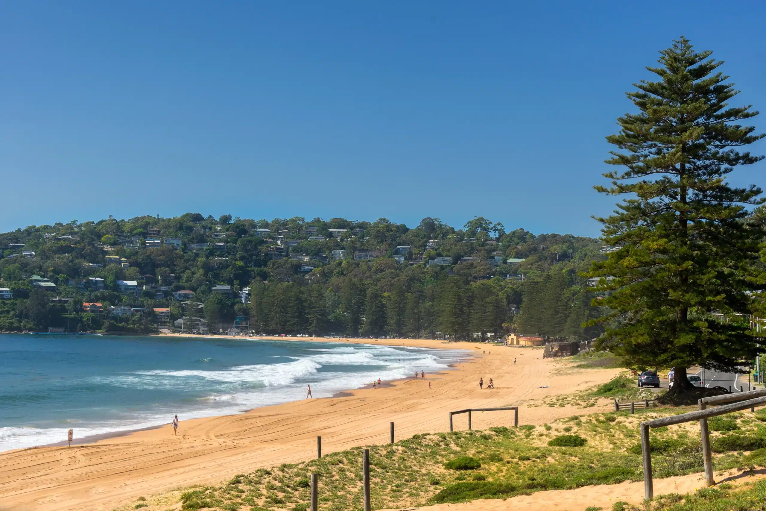 northern beaches sydney scaled 1